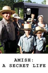 دانلود فیلم Amish: A Secret Life 2012 دوبله فارسی بدون سانسور