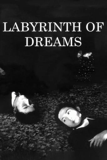 دانلود فیلم Labyrinth of Dreams 1997 دوبله فارسی بدون سانسور