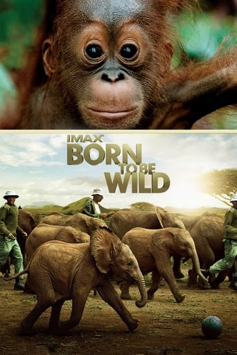 Born to Be Wild 2011 (وحشی متولد شد)