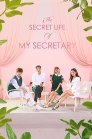 دانلود سریال The Secret Life of My Secretary 2019 (زندگی اسرارآمیز منشی من) دوبله فارسی بدون سانسور