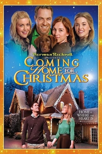 دانلود فیلم Coming Home for Christmas 2013 دوبله فارسی بدون سانسور