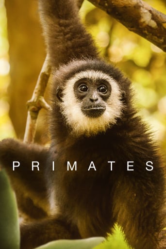 دانلود سریال Primates 2020 (نخستی ها) دوبله فارسی بدون سانسور