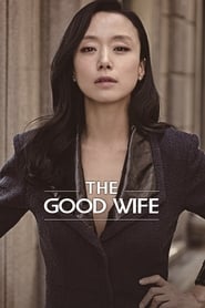 دانلود سریال The Good Wife 2016 (همسر خوب) دوبله فارسی بدون سانسور