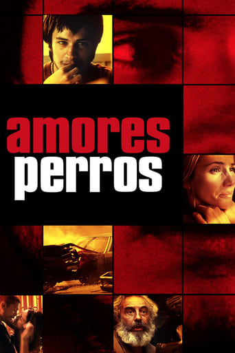 دانلود فیلم Amores Perros 2000 (عشق سگی) دوبله فارسی بدون سانسور